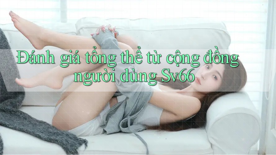 Đánh giá tổng thể từ cộng đồng người dùng Sv66