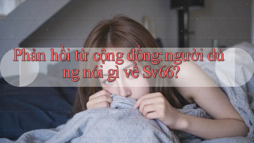 Phản hồi từ cộng đồng: người dùng nói gì về Sv66?