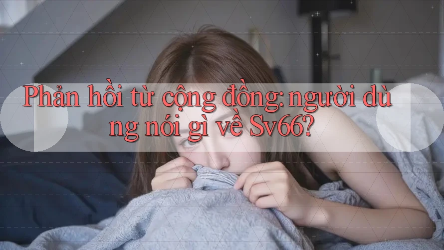 Phản hồi từ cộng đồng: người dùng nói gì về Sv66?