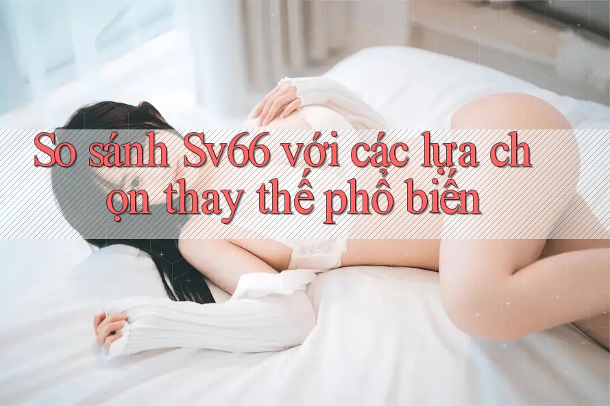 So sánh sv66 với các lựa chọn thay thế phổ biến