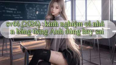 sv66 (2026) kinh nghiệm cá nhân bằng tiếng Anh đúng hay sai