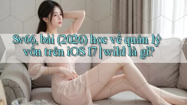 Sv66, bài (2026) học về quản lý vốn trên iOS 17 wild là gì