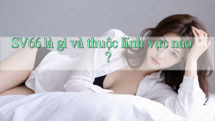 SV66 là gì và thuộc lĩnh vực nào? SV66 là gì và thuộc lĩnh vực nào?