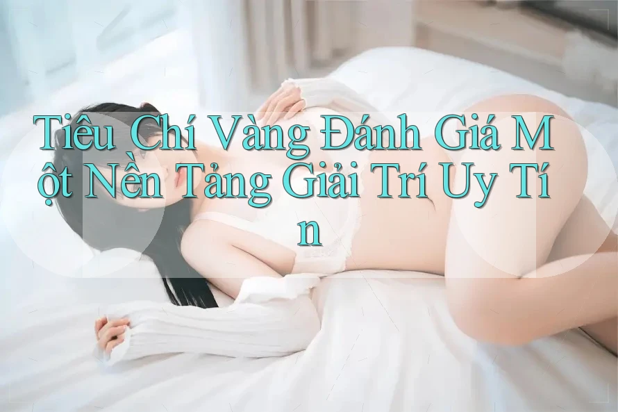 Tiêu Chí Vàng Đánh Giá Một Nền Tảng Giải Trí Uy Tín Tiêu Chí Vàng Đánh Giá Một Nền Tảng Giải Trí Uy Tín