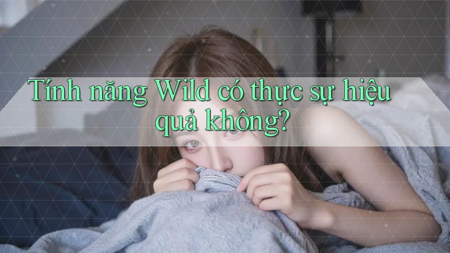 Tính năng Wild có thực sự hiệu quả không? Tính năng Wild có thực sự hiệu quả không?